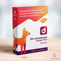 ПО DM.Основные средства: Invent - LifeTime